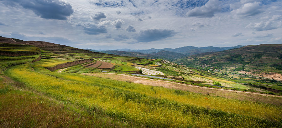 zoty��ŷ��(�й����޹�˾)�ٷ���վ