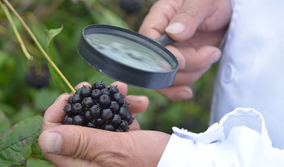 zoty��ŷ��(�й����޹�˾)�ٷ���վ