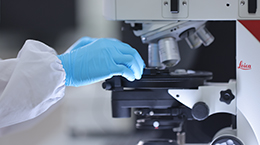 zoty��ŷ��(�й����޹�˾)�ٷ���վ