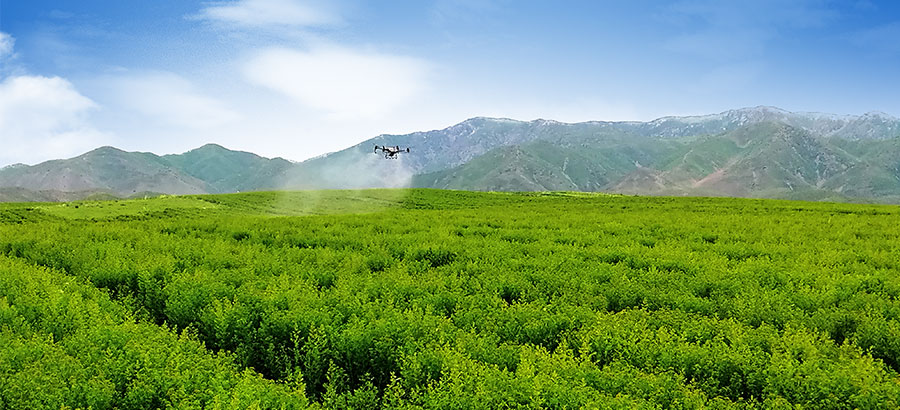 zoty��ŷ��(�й����޹�˾)�ٷ���վ